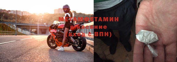 индика Няндома