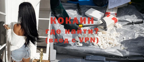 индика Няндома