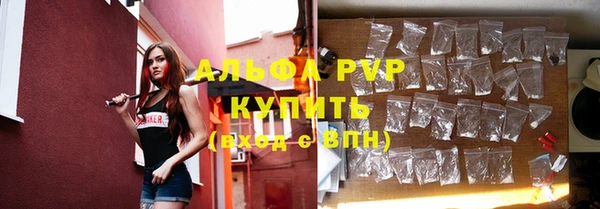 индика Няндома