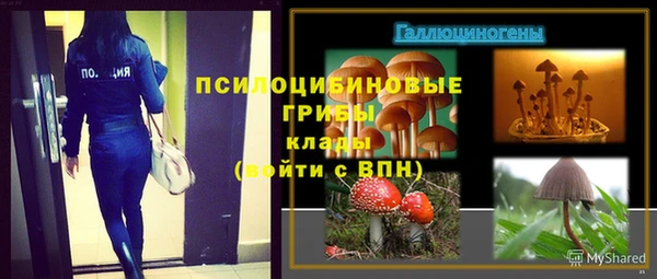 a pvp Богородск